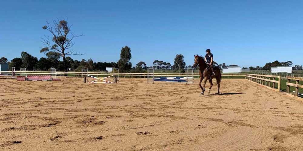 Horse Arenas